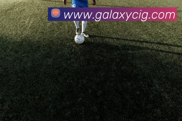 银河galaxy娱乐官网服务体系